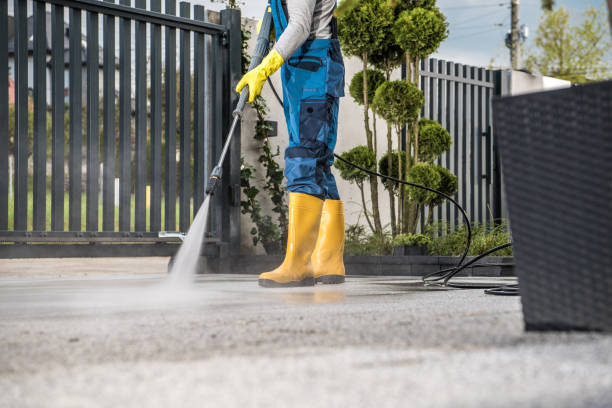 Best Roof Washing  in Peoria, IL