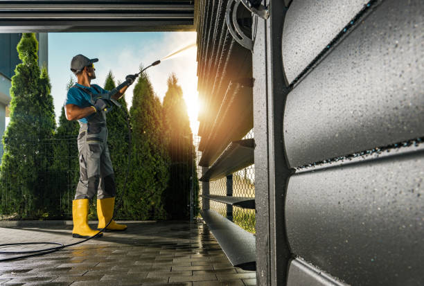 Best Gutter Cleaning  in Peoria, IL